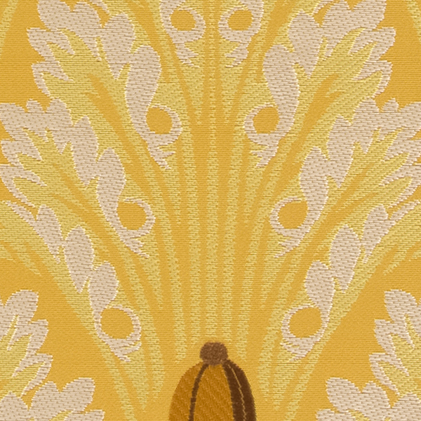 TKF11244.jpg