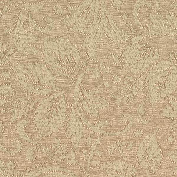 TKF11315.jpg