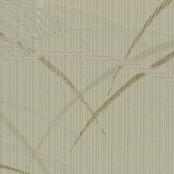 TKF11340.jpg