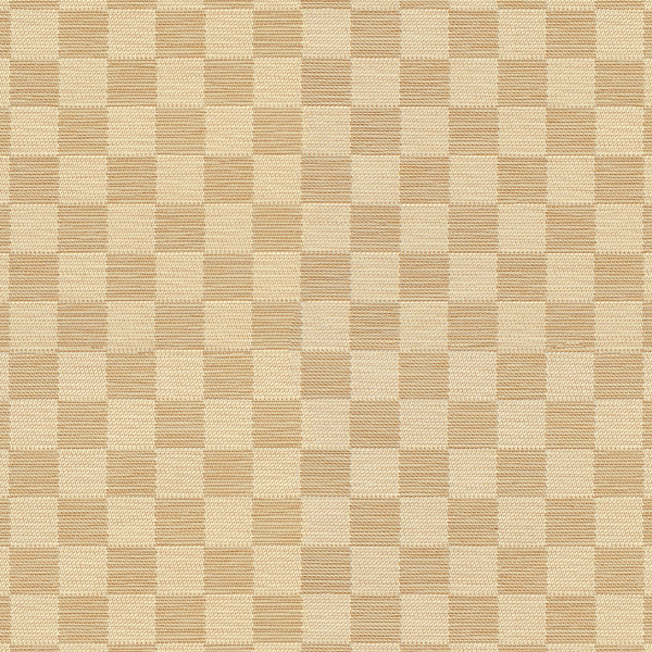 TKF11358.jpg