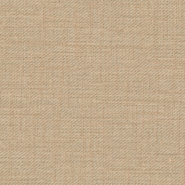 TKF11373.jpg