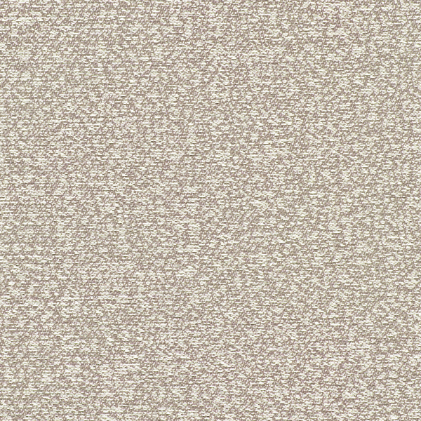 TKF11389.jpg