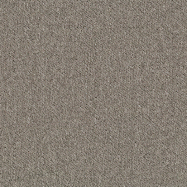 TKF11398.jpg