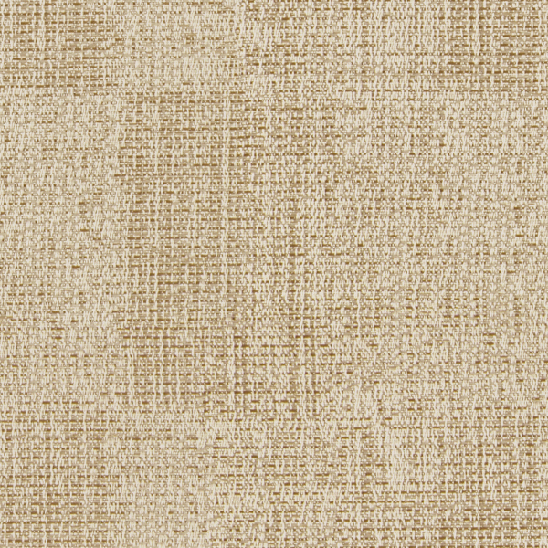 TKF11421.jpg