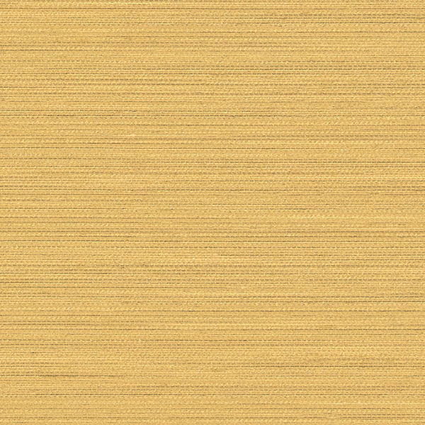 TKF11425.jpg