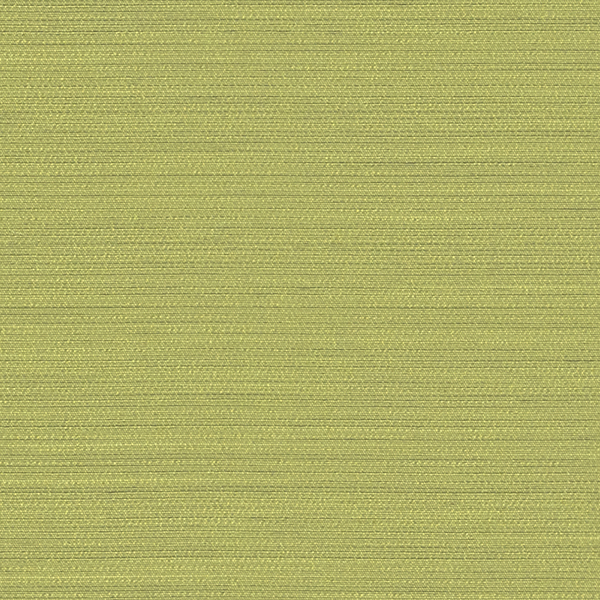 TKF11436