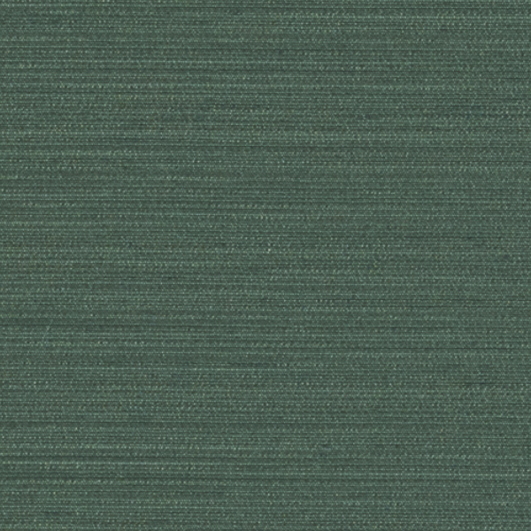 TKF11437