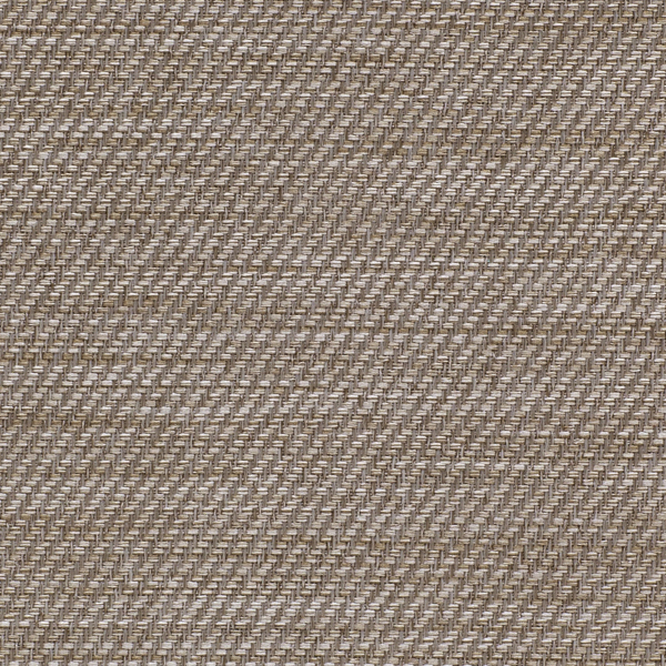 TKF11449