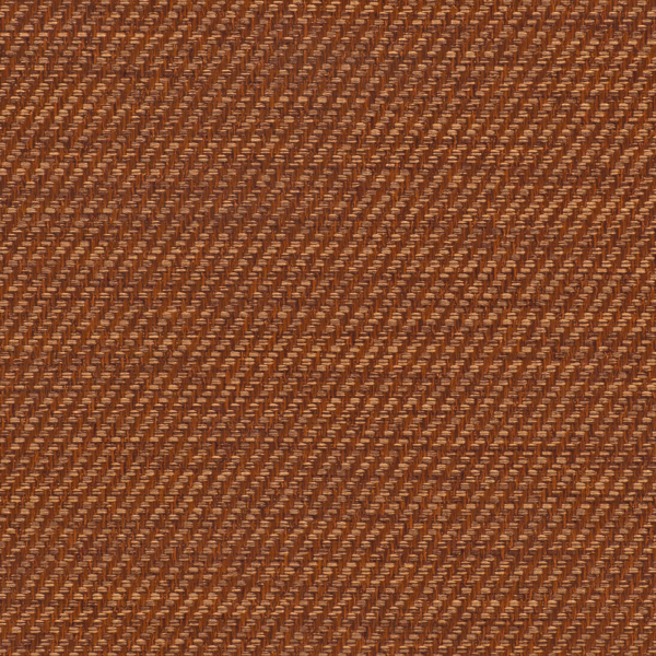 TKF11452.jpg