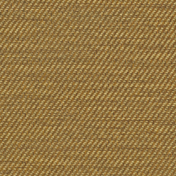 TKF11453.jpg