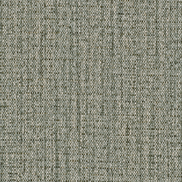 TKF11456.jpg