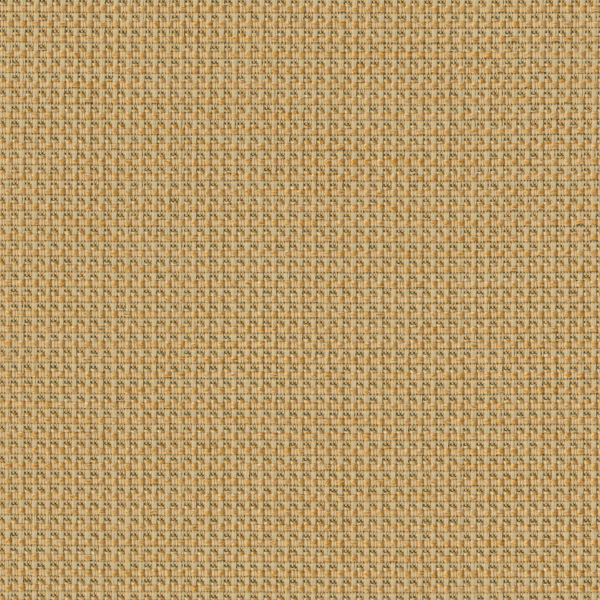 TKF11458