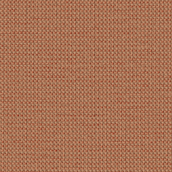 TKF11460.jpg