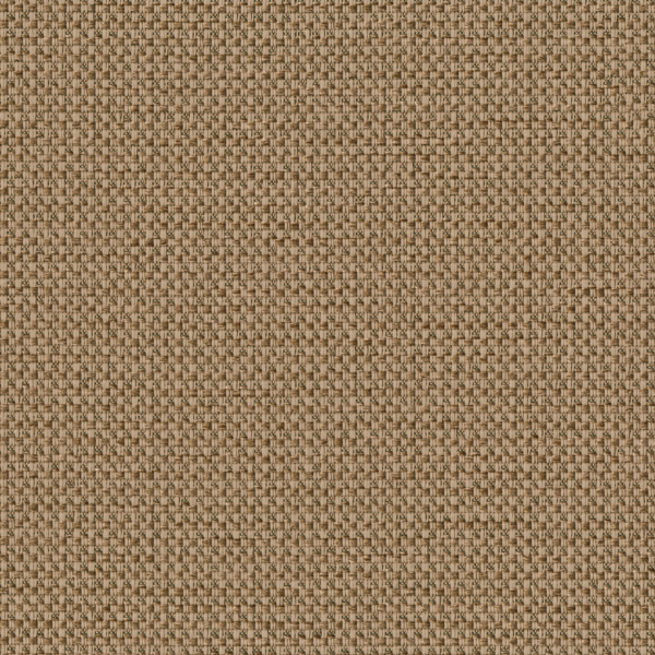 TKF11461