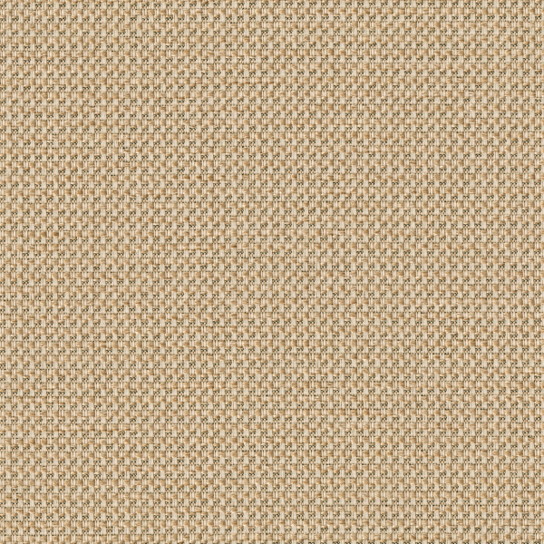 TKF11462
