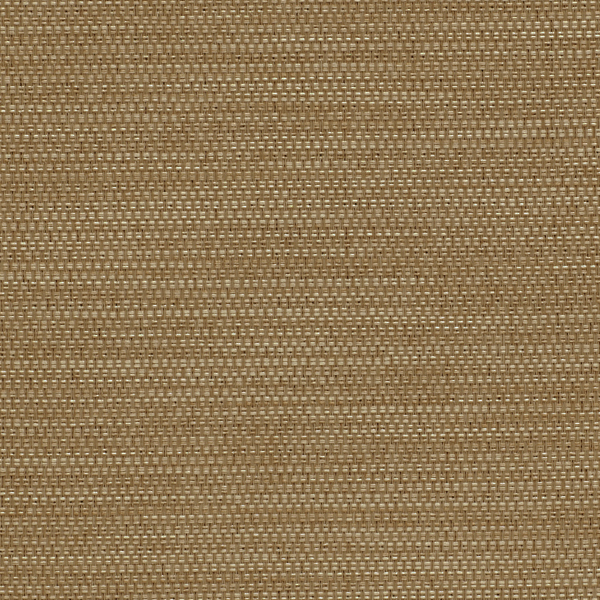 TKF11466.jpg