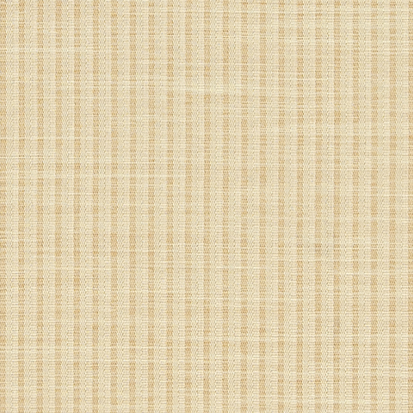 TKF11474.jpg