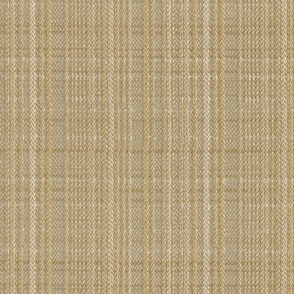 TKF11479