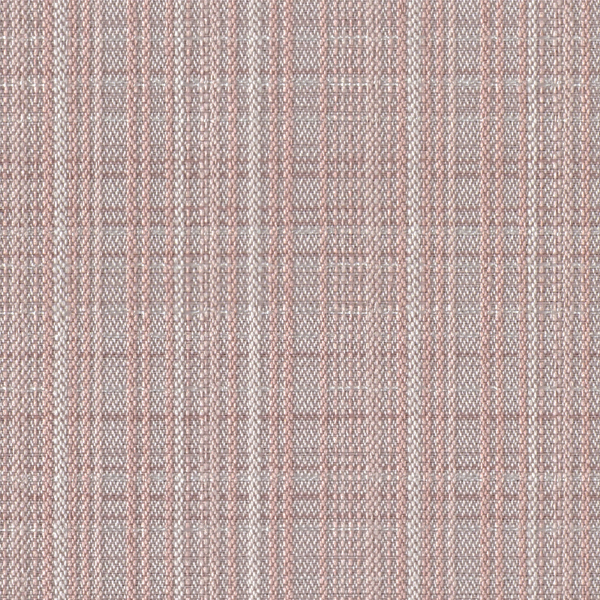 TKF11481