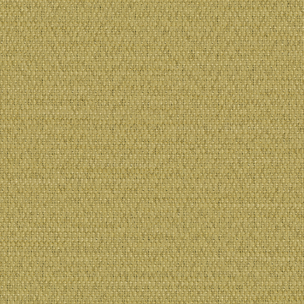 TKF11485