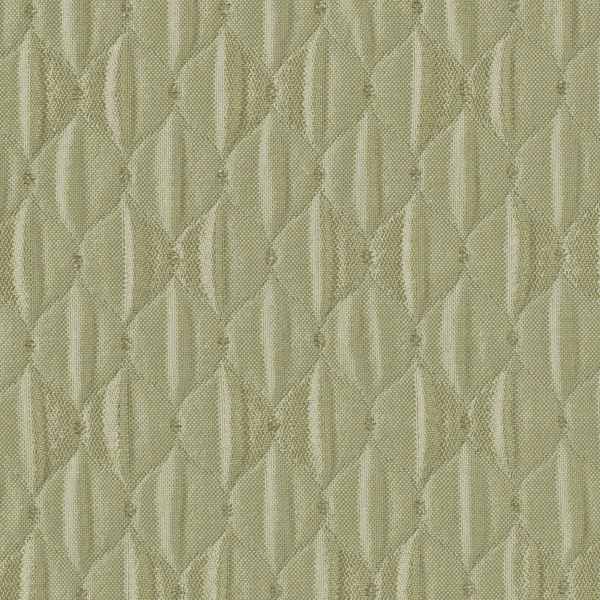 TKF11488.jpg