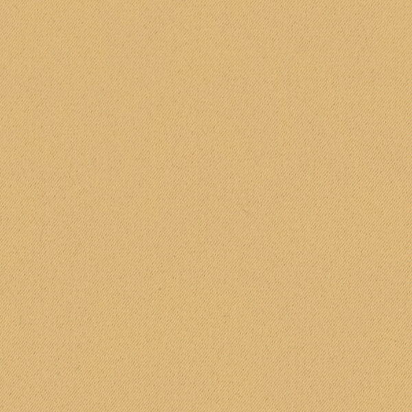 TKF11499.jpg