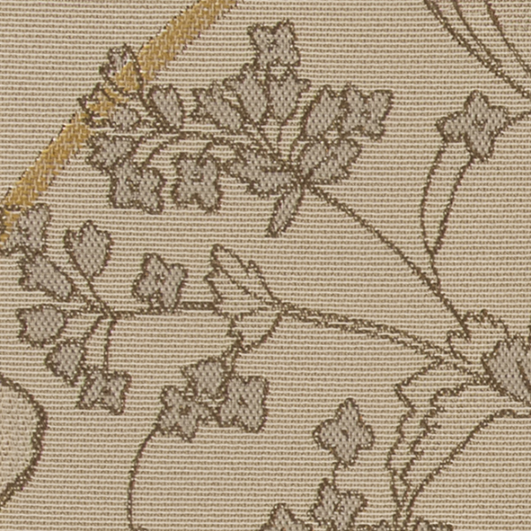 TKF11513.jpg