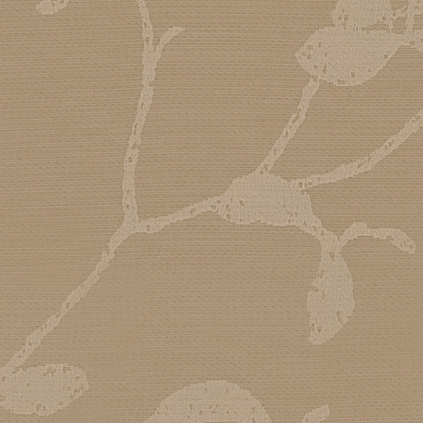 TKF11541.jpg