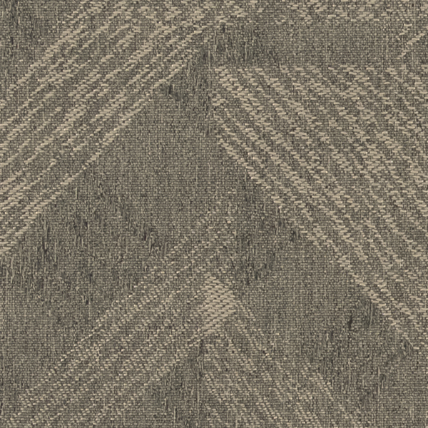 TKF11545.jpg