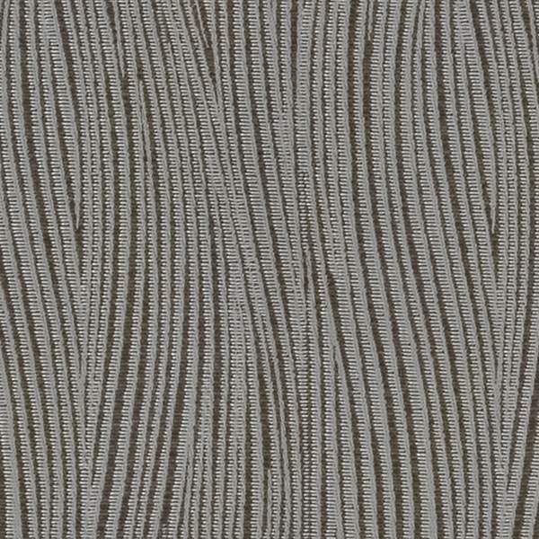 TKF11559.jpg