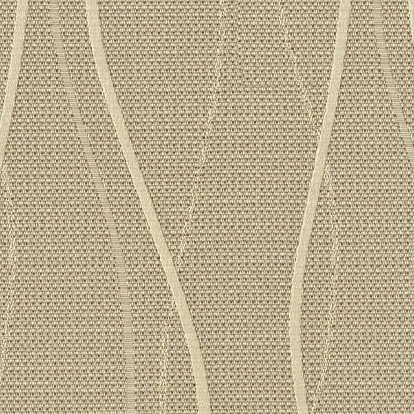 TKF11561.jpg
