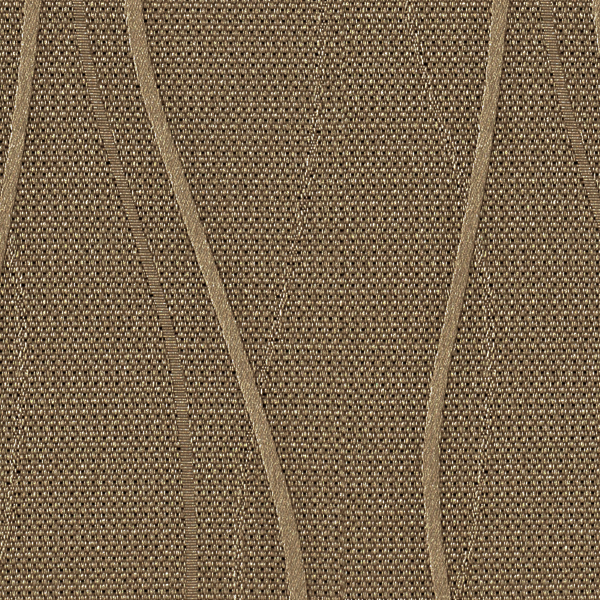 TKF11562.jpg