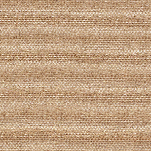 TKF11622.jpg