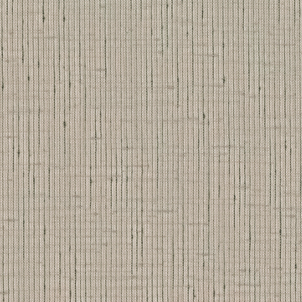 TKF11661