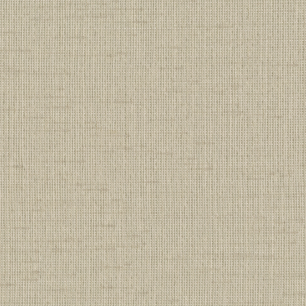 TKF11721.jpg