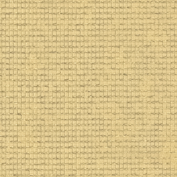 TKF11767.jpg