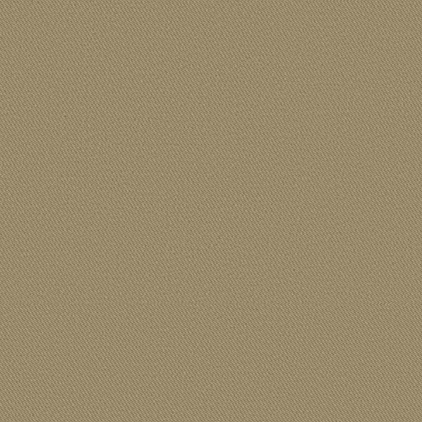 TKY80388.jpg