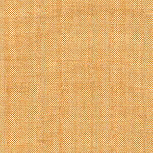 TKF11089