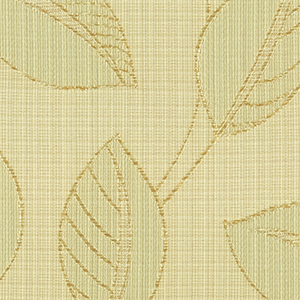 TKF11113