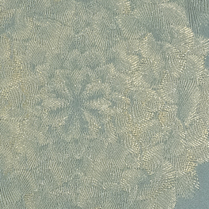 TKF11174