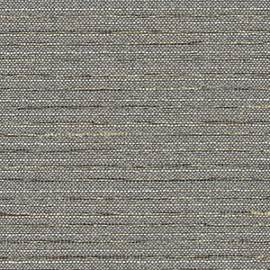TKF11381