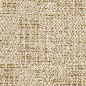TKF11421