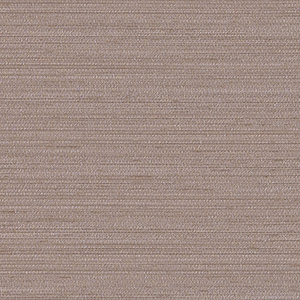 TKF11431