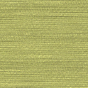 TKF11436