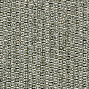 TKF11456