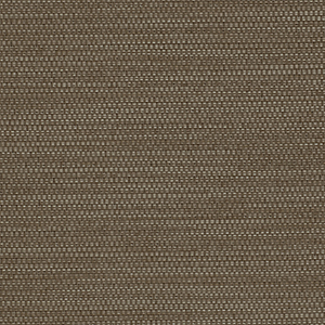 TKF11467