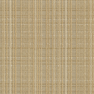 TKF11479