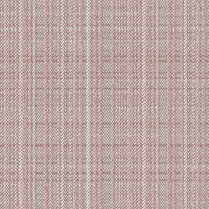 TKF11481
