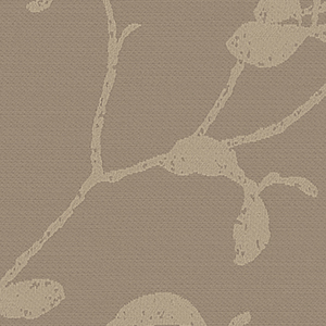 TKF11542
