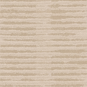 TKF11551